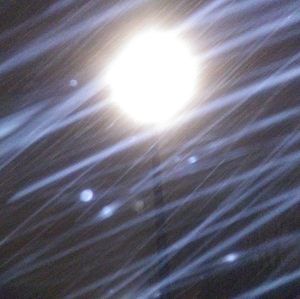 Meet your Posher, Wyatt